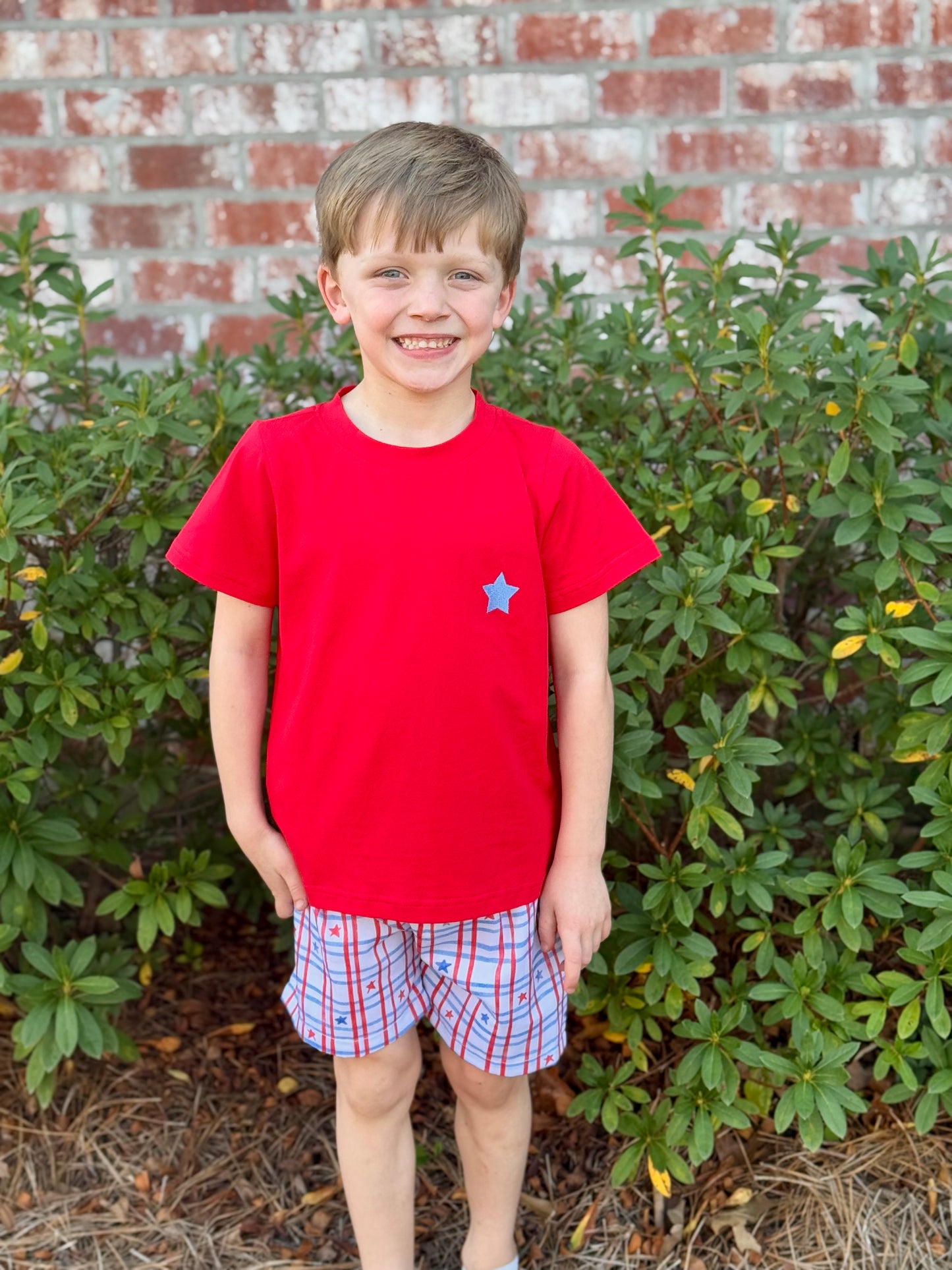 5T Star Spangled Short Sample