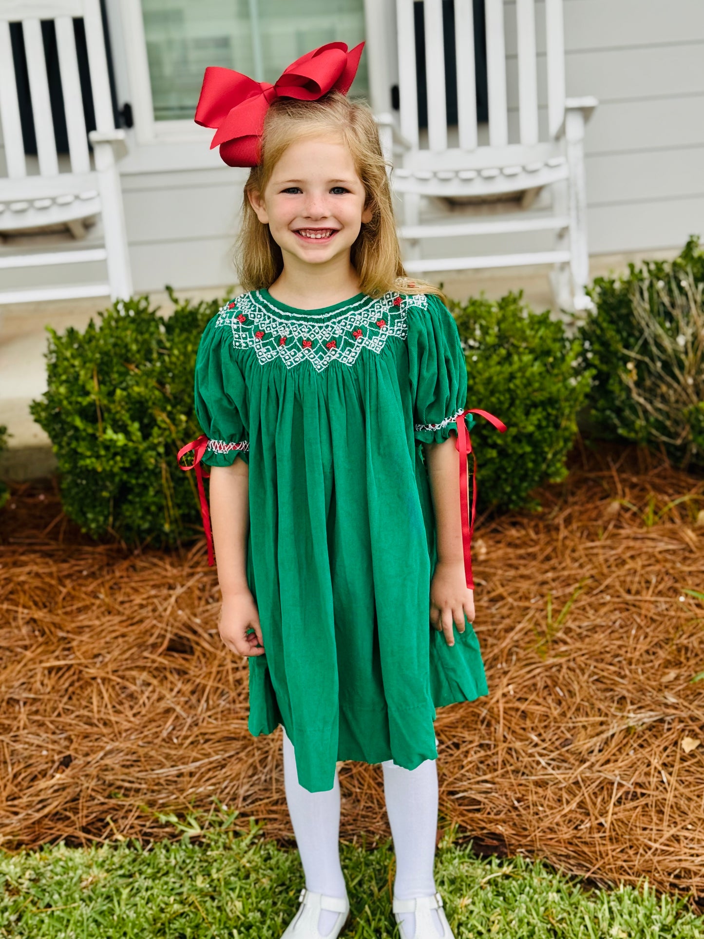 Once Upon a Christmas Dress